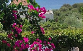 Seaside Boutique Villa