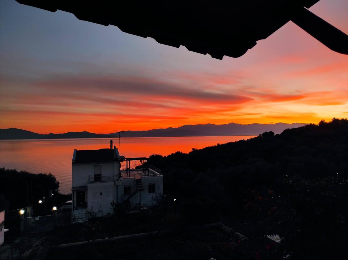 Seaside Boutique Villa Βόλος Εξωτερικό φωτογραφία