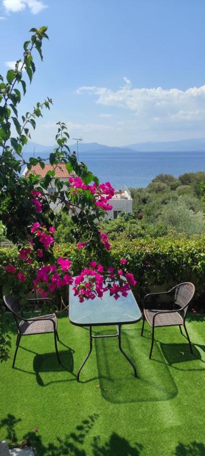 Seaside Boutique Villa Βόλος Εξωτερικό φωτογραφία